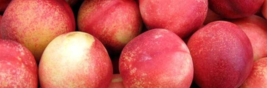 GreenTree’s Guide to Summer Stone Fruit