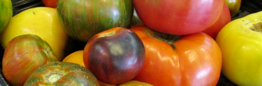 Tips and Tricks for Using Your Summer Produce