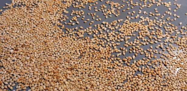 Spice of the Month: Sesame Seeds