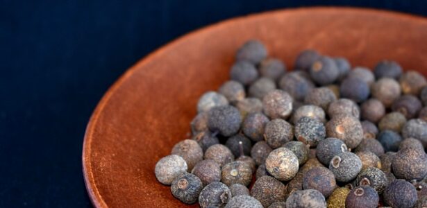 Spice of the Month: Allspice