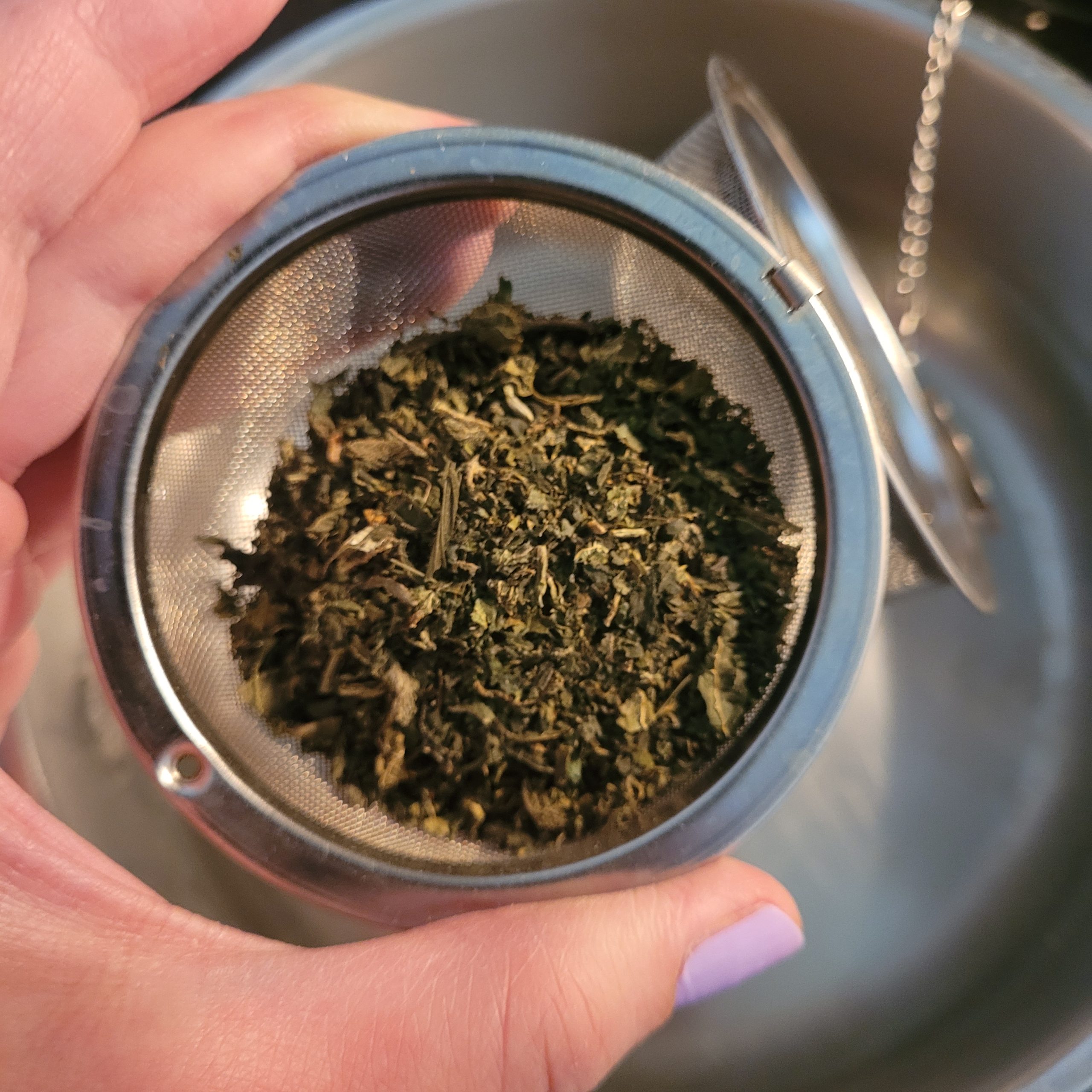 Dried nettle, decorative.